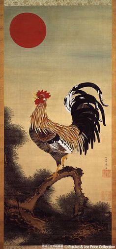 jakuchu-gallo